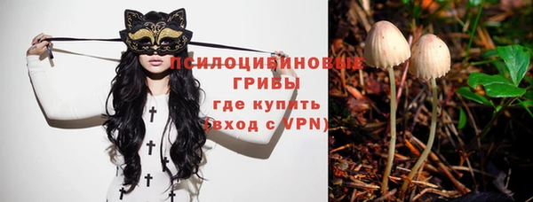 метадон Богданович