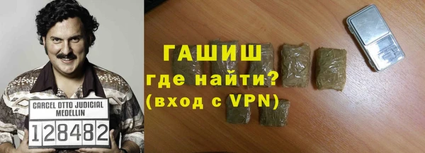 шишки Няндома