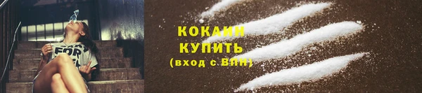 метадон Богданович