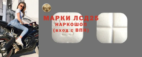 метадон Богданович