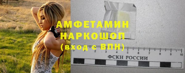 метадон Богданович