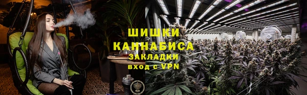 метадон Богданович