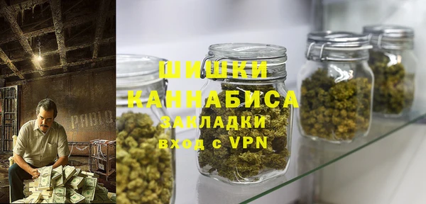 метадон Богданович