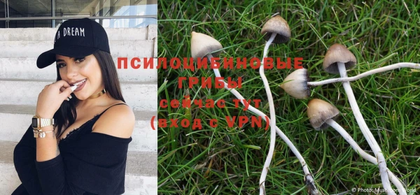 метадон Богданович
