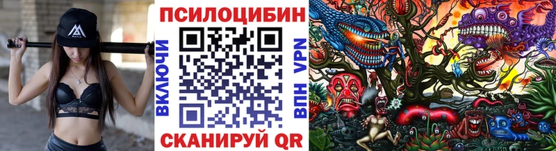 где продают   даркнет наркотические препараты  Псилоцибиновые грибы Cubensis  Давлеканово 